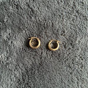 Small Gold Hoop Earrings